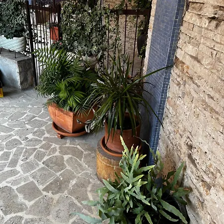 Casetta Romana Apartment *