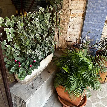 Casetta Romana * Rome