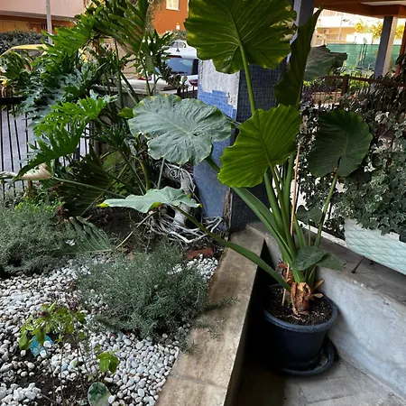 Apartment Casetta Romana Rome